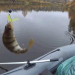 Floating silicone baits for pike perch