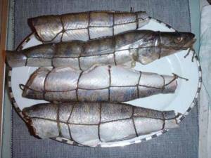 Preparing pike perch before cold processing