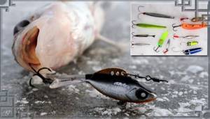 Ice fishing with vertical lures