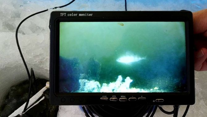 Underwater fishing camera