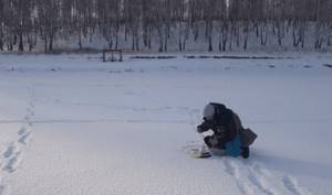 Finding perch in shallow water in winter.