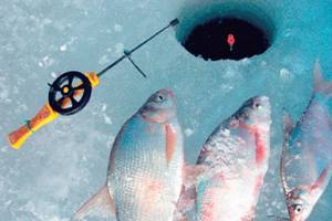 Float rod for winter fishing for beginners