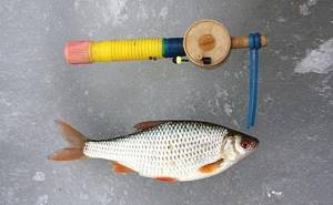 Float winter fishing rod