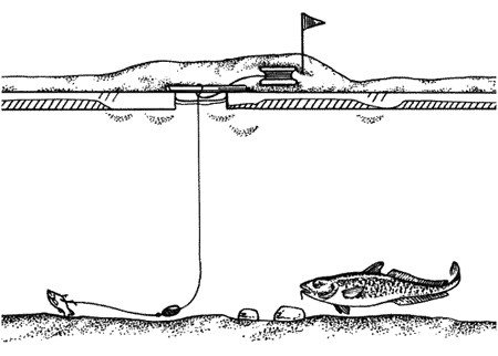 supplies for burbot pike perch