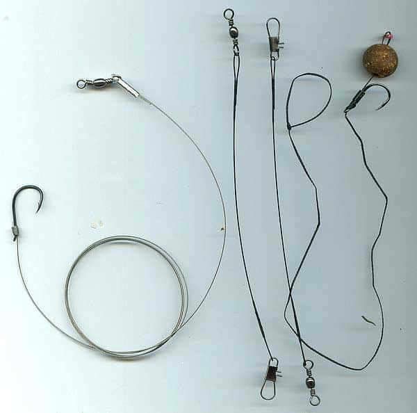Fishing leash