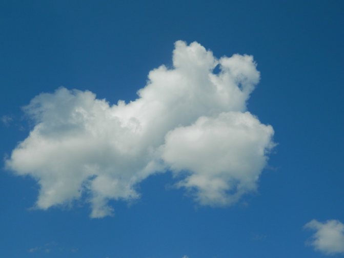 Cool cloud!!! Looks like a dog. 