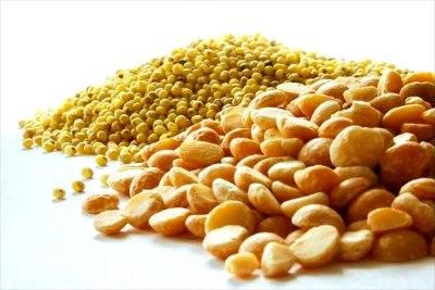 Bait for crucian carp: peas, millet and semolina