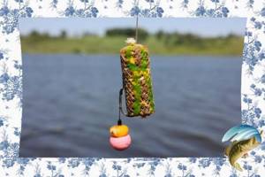 baits for carp fishing in July