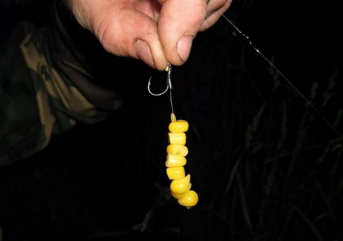 Lures for fishing with eggs