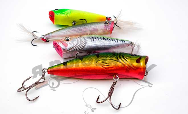 Fishing baits poppers