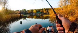 Operating principle and design of spinning reels