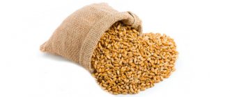 Пшеница в мешке
