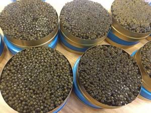 Packaged black caviar