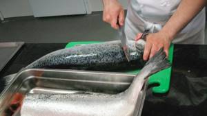 Cutting river and sea fish