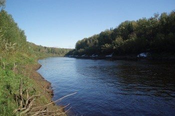 River Mezhnitsa photo