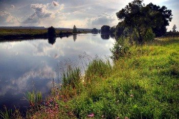 Река Проня фото