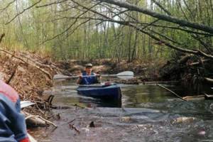 Река Сясь: географические особенности, рыбная ловля - ZdavNews