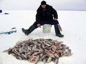 result for fishing in the Altai Territory