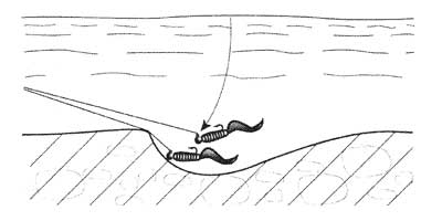 Fig.5. Passing the bait over the edge. 