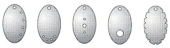 Figure 2: Acoustic Lobe Options