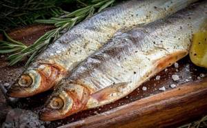 Vendace cooking recipes