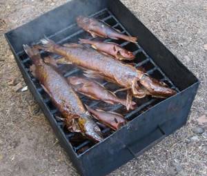 Cold smoked fish, how to cook it at home