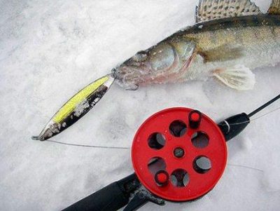 Fish with a fishing rod on ice