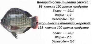 Tilapia fish. Benefits and harms, where it is found, calorie content per 100 grams, how to cook 