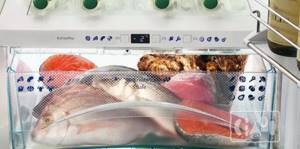 fish in the refrigerator