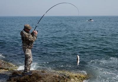 Fishing tricks: catching a predator with a retractable leash