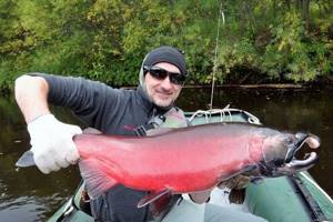 Fisherman with pink salmon