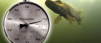 Fishing and pressure