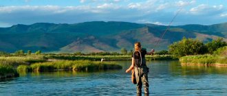 Fishing in Altai: best places and reviews
