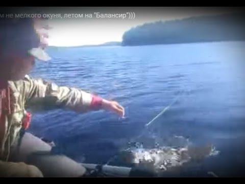 рыбалка на балансир летом с лодки видео