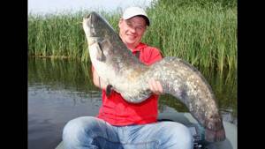 Fishing on the Dnieper. Catching catfish with Kwok. Fishing with an Overnight! 