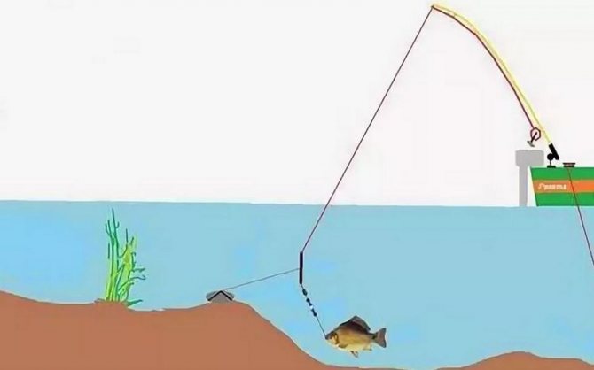 Рыбалка на донную удочку
