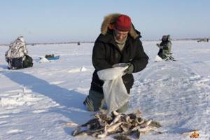 Fishing on the Kama in Perm