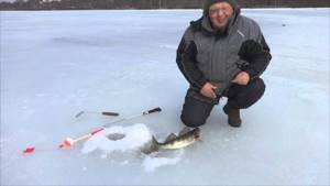 Fishing on the Neva 2017