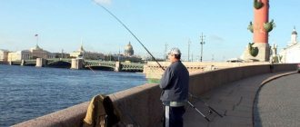 Fishing on the Neva