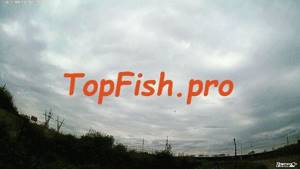 Рыбалка на оке в районе серпухова. https://topfish.pro/kupit ...