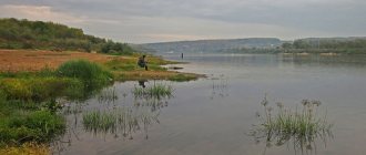 Рыбалка на Оке в Серпуховском районе