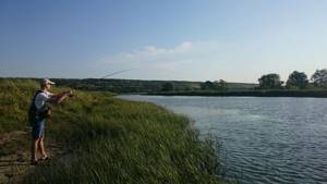 Рыбалка на реке Иртыш Омской области - обзор и отзывы