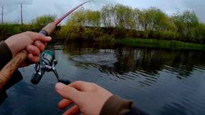 Spinning fishing in May