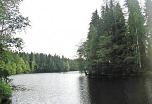 Рыбалка озеро Долгое в Ленинградской области
