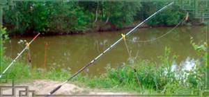 Fishing with a bottom rod