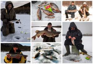fishing with Fishhungry in winter