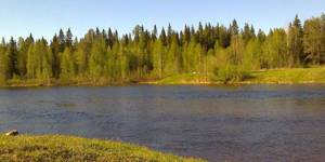 Fishing in the Arkhangelsk region