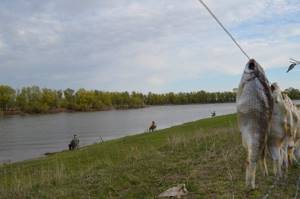 fishing in Astrakhan in spring