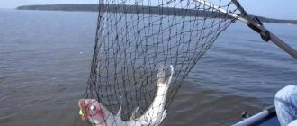 Рыбалка в Ейске на Азовском