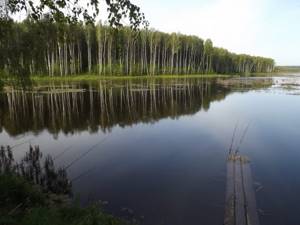 Fishing in the Oryol region, Oryol